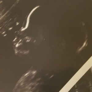 Meet your Posher, Mia